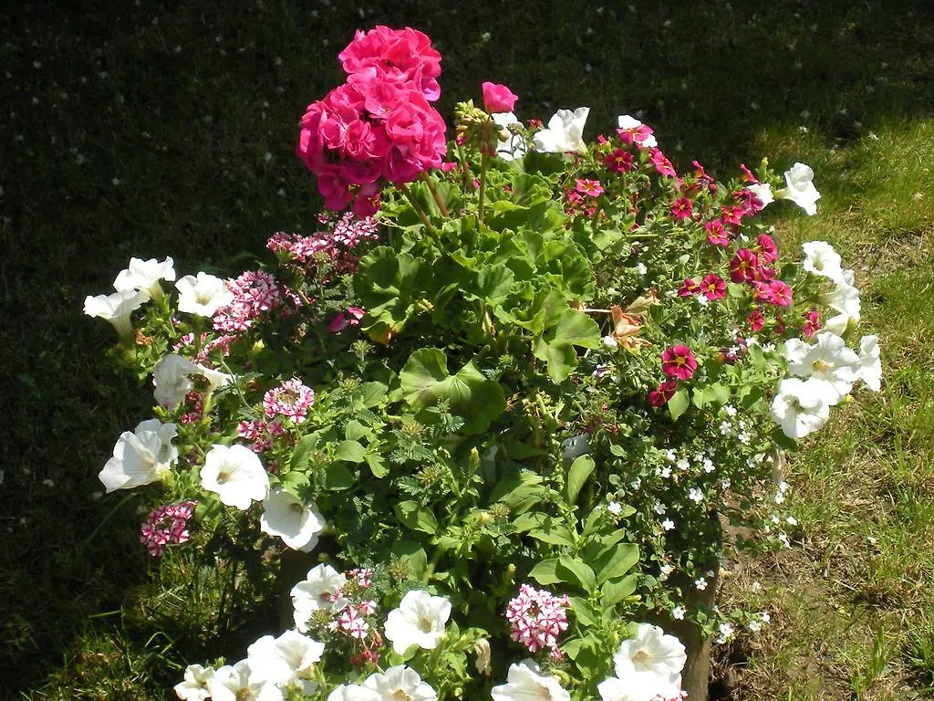 B&B Al Calcandola Sarzana Bed & Breakfast